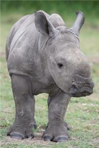 Baby Rhinoceros Journal