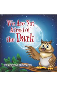 We Are Not Afraid of the Dark