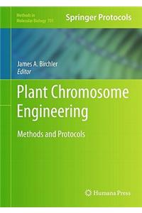 Plant Chromosome Engineering