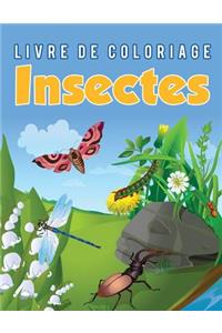 Livre de coloriage Insectes