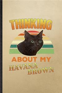 Thinking About My Havana Brown