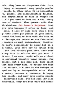 Cat Lover's Notebook
