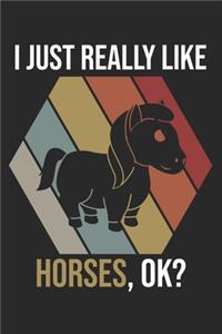 I Just Really Like Horses, OK?
