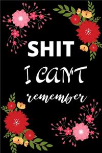 Shit I Can't Remember