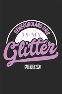 Newfoundland Dog Calender 2020