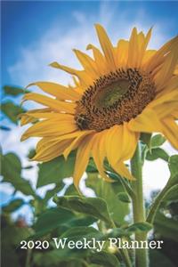 Sunflower 2020 Weekly Planner