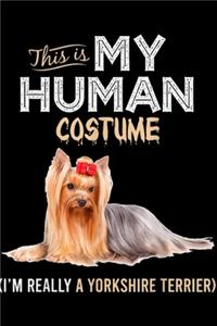 This Is My Human Costume (I'm Really A Yorkshire Terrier)