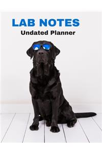 Blank Undated Weekly Planner