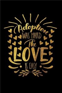 Adoption Was Hard The Love Is Easy