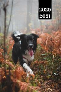 Border Collie Dog Calendar Week Planner 2020 / 2021 - Walk in the Forest