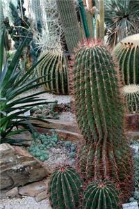 Beautiful Southwest Cactus Garden Journal