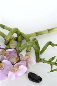 Orchids Notebook