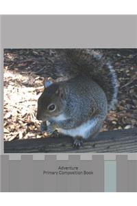 Adventure Primary Composition Book