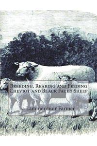 Breeding, Rearing and Feeding Cheviot and Black Faced Sheep