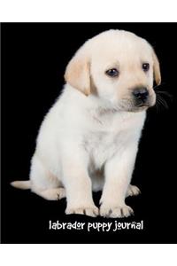 Labrador Puppy Journal