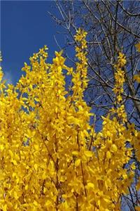 2019 Weekly Planner Pretty Forsythia Branches Blue Sky 134 Pages