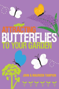 Attracting Butterflies to Your Garden