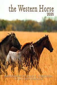 2020 Western Horse Calendar