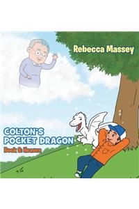 Coltons Pocket Dragon Book 6