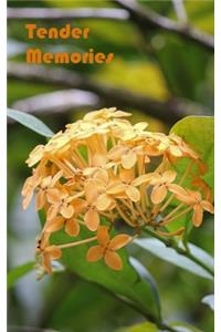 Tender Memories