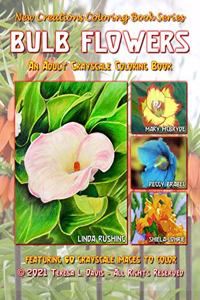 New Creations Coloring Book Series