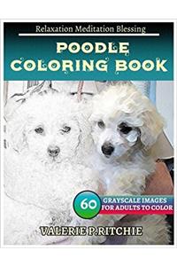 Poodle Coloring Book for Adults Relaxation Meditation Blessing: Sketches Coloring Book 60 Grayscale Images