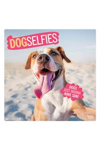 Dog Selfies 2021 Square