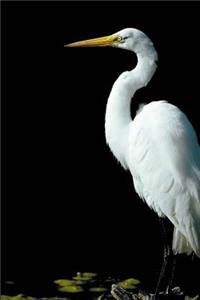 Great Egret Notebook