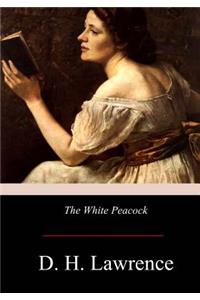 White Peacock