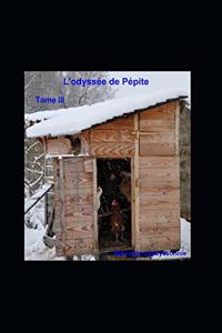 L'Odyssée de Pépite Tome III