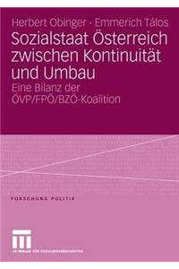 Sozialstaat Österreich Zwischen Kontinuität Und Umbau
