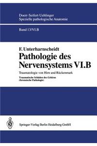 Pathologie Des Nervensystems VI.B