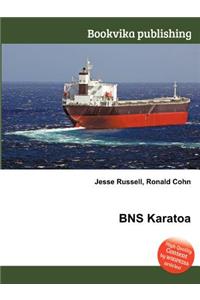 Bns Karatoa