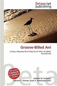 Groove-Billed Ani