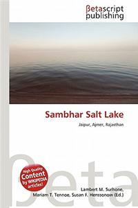 Sambhar Salt Lake