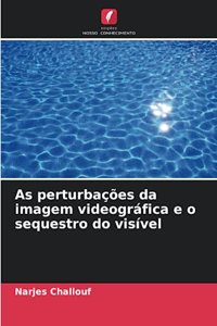 As perturbações da imagem videográfica e o sequestro do visível