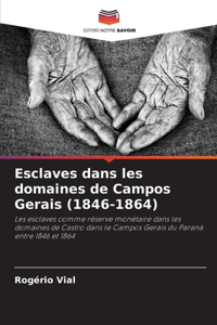 Esclaves dans les domaines de Campos Gerais (1846-1864)