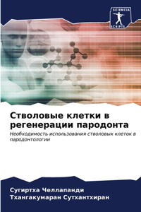 Стволовые клетки в регенерации пародонт