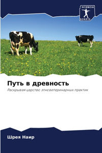 Путь в древность