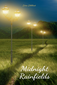 Midnight Rainfields