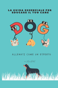 La Guida Essenziale Per Educare Il Tuo Cane