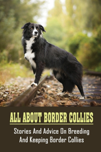 All About Border Collies