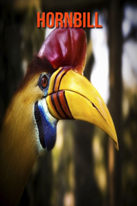 Hornbill