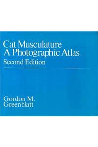 Cat Musculature