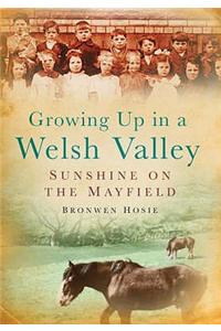 Growing Up in a Welsh Valley: Sunshine on the Mayfield