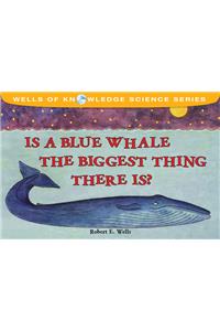 Is a Blue Whale the Biggest Thing There Is?