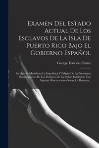 Exámen Del Estado Actual De Los Esclavos De La Isla De Puerto Rico Bajo El Gobierno Español