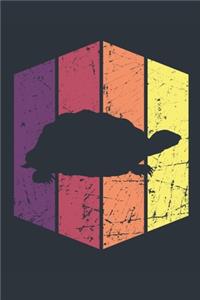 Vintage Tortoise Journal - Gift for Tortoise Lovers - Retro Tortoise Notebook - Tortoise Diary for Boys and Girls