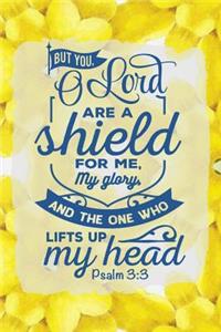 But You Oh Lord Are a Shield for Me, My Glory, and the One Who Lifts Up My Head Psalm 3