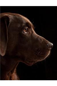 Brown Labrador Retriever Notebook